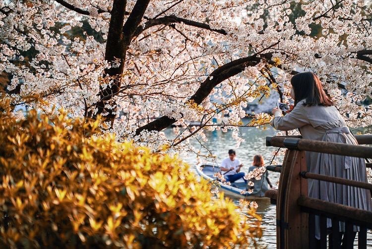 吉祥寺デート
