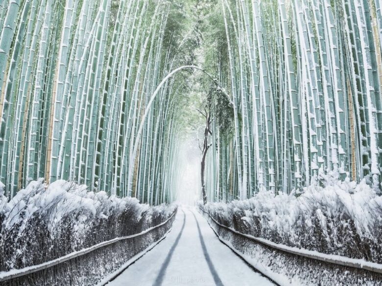 京都旅行スポット